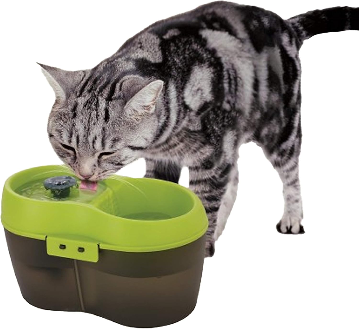 Goofy Tails Cat H2O Water Fountain for Cats Automatic Cat Water
