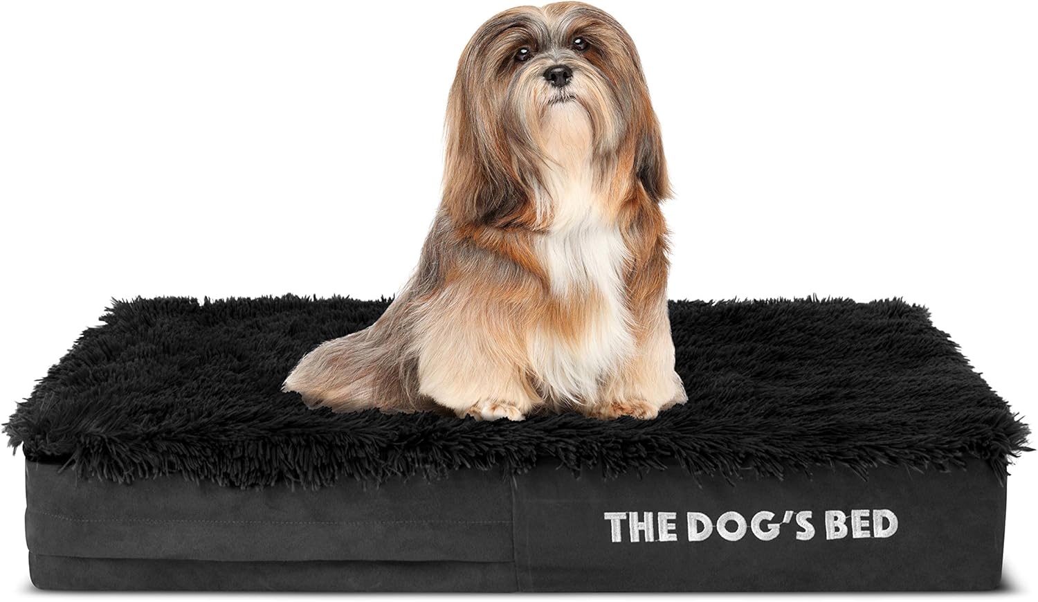 lhasa apso limping back leg