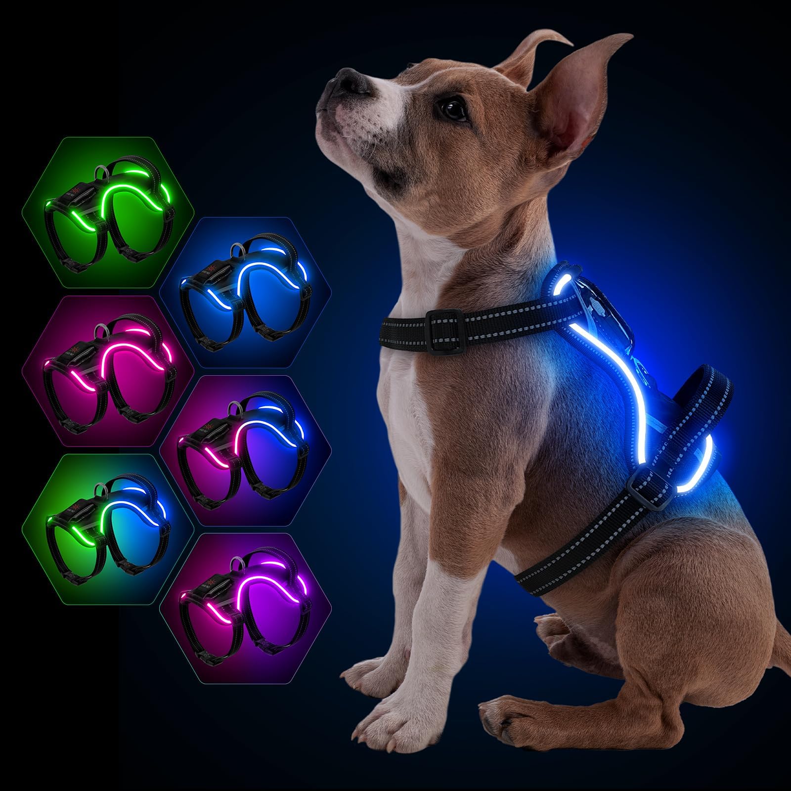 YFbrite Multicolor Light Up Dog Harness with Battery Indicator, Type-C USB Rechargeable LED Pet Harnesses with 7 Lighting Modes, Adjustable Harness for All Dogs Night Walking Safety (RGB,M)