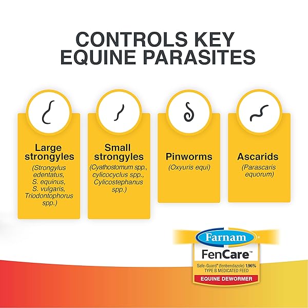 FARNAM FENCARE SAFE-GUARD (FENBENDAZOLE) 1.96% TYPE B MEDICATED FEED EQUINE DEWORMER 5 OUNCES