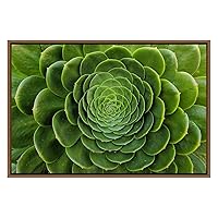 SIGNWIN Framed Canvas Wall Art Yellow Green Cactus Petals Patterns Botanical Succulent Photography Minimalism Modern Closeup Colorful for Living Room, Bedroom, Office - 16