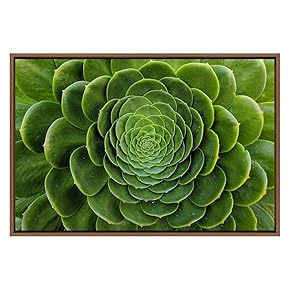 SIGNWIN Framed Canvas Wall Art Yellow Green Cactus...