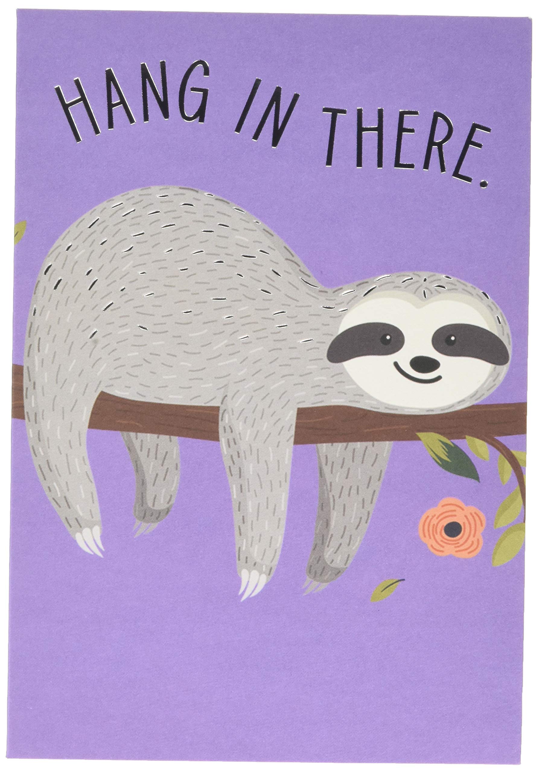 Hallmark General Support Card - Cute 'State of Kind' Sloth Design