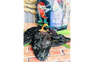 Dried Mulato Chili Pepper Grade A 85Gr / 3 oz. By Chiles Machos