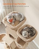 Feandrea Feandrea Cat Tree 206 cm Large Condo 13 Scratching Posts 2 Caves view 3