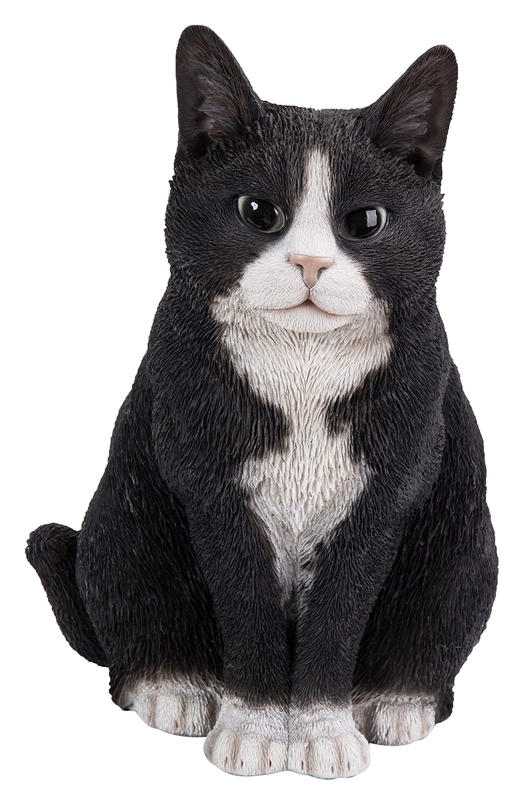 Real Life Sitting Cat Black/White by Vivid Arts