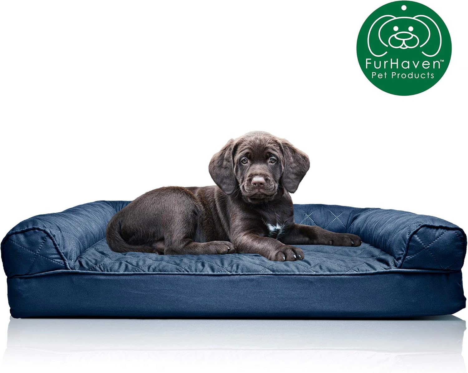 Best aspen pet sofa bed