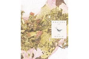 Weather and the Whale