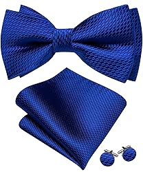 Barry.Wang Royal Blue Bow Ties for Men Pre-tied Bow