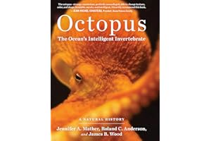 Octopus: The Ocean's Intelligent Invertebrate