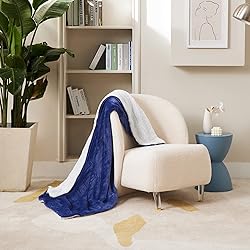 Bedsure Sherpa Fleece Throw Blanket for Couch