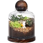 Yangbaga Large Glass Terrarium Succulent Plant Terrarium House for Plant/Moss Ball/Glass Fish Tank Mini Table with Wood Base &amp; Ball lid Office Home Decoration