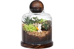 Yangbaga Large Glass Terrarium Succulent Plant Terrarium House for Plant/Moss Ball/Glass Fish Tank Mini Table with Wood Base 