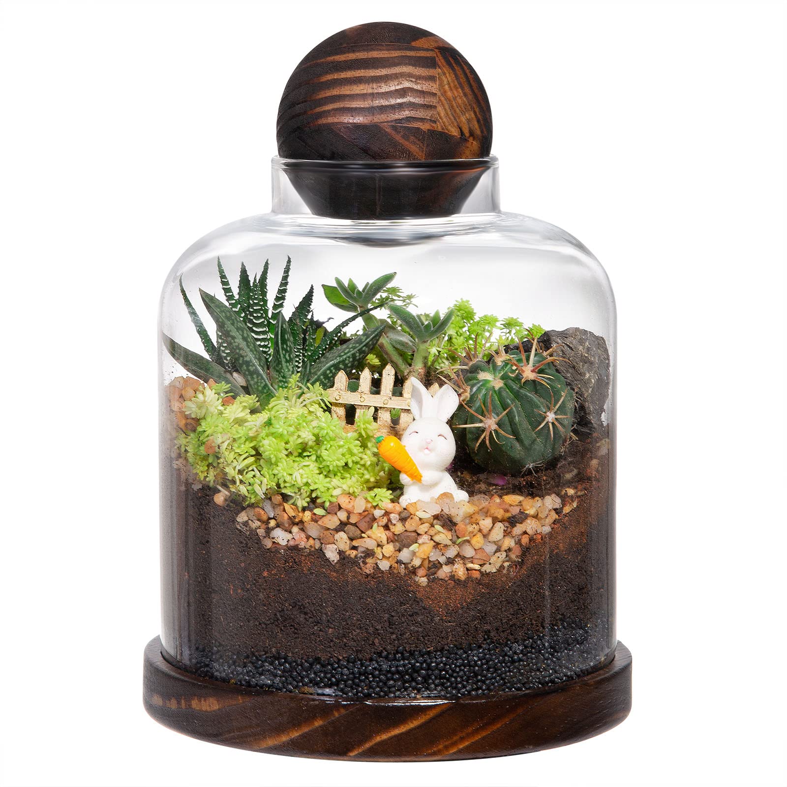 Photo 1 of ***MISSING BALL*** Yangbaga Large Glass Terrarium Succulent Plant Terrarium House for Plant/Moss Ball/Glass Fish Tank Mini Table with Wood Base & Ball lid Office Home Decoration