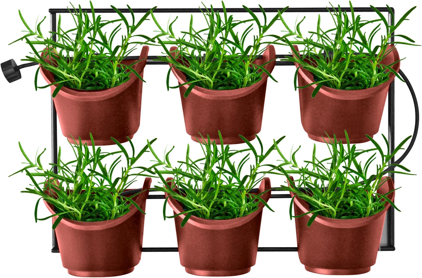 WatexWX051 Metal Green Wall Vertical Planter, Terra Cotta