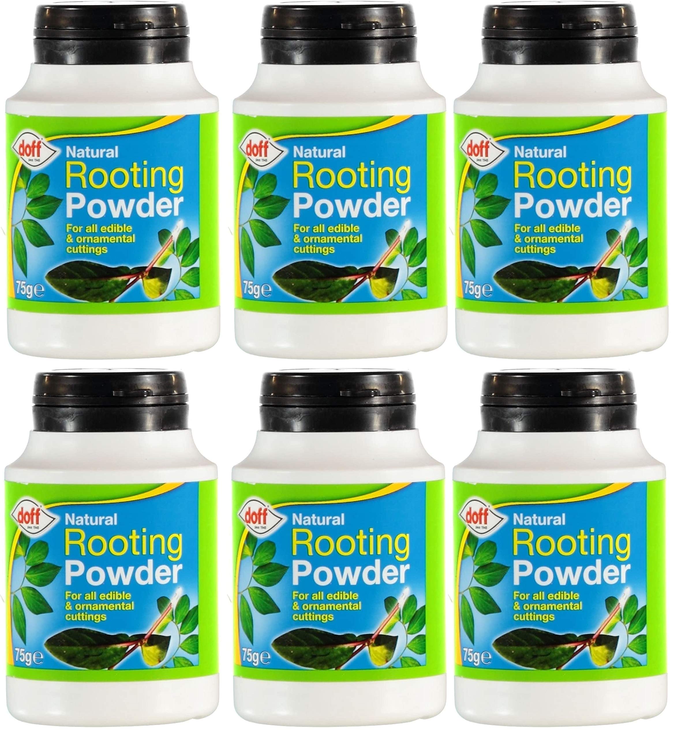 Redify Rooting Powder, 6 X 75g, Promotes Strong Healthy Roots in All Cuttings