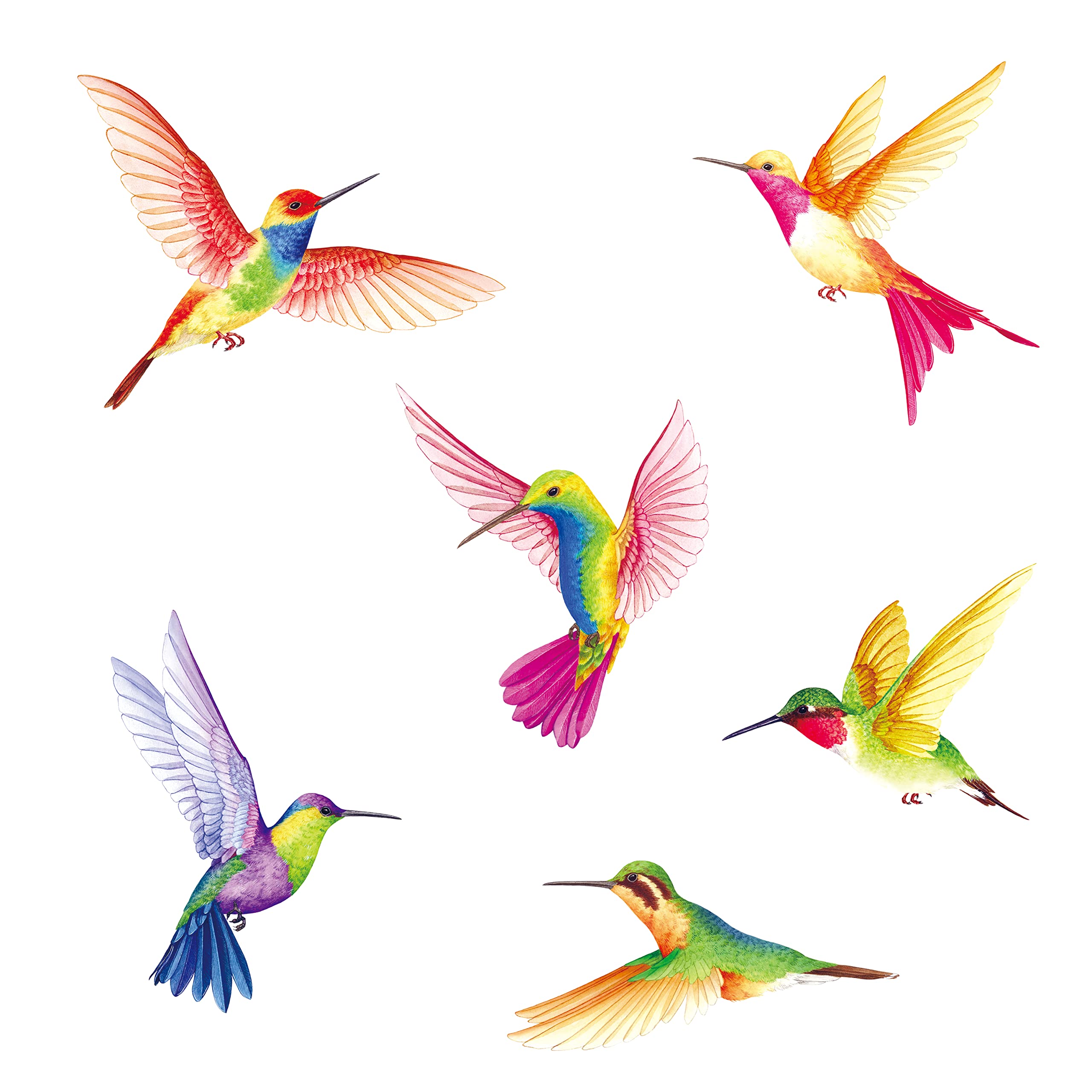BASHOM DS2-4002 6 Large Beautiful Humming Birds Wall Stickers Flying Hummingbird Decals Removable for Bedroom Living Room Art Home Décor