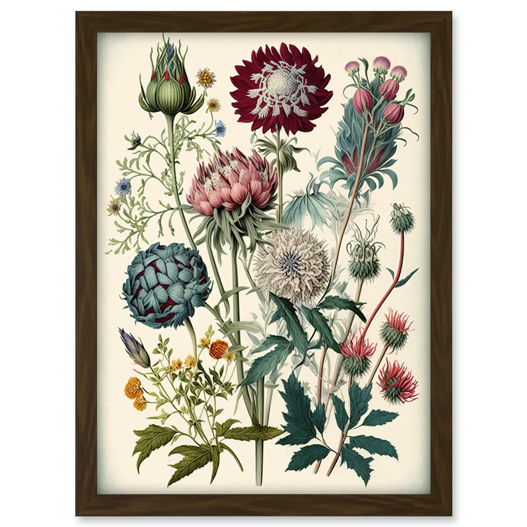Artery8 Ernst Haeckel Style Vintage Botanical Plant Study Modern Watercolour Painting Illustration Artwork Framed A3 Wall Art Print