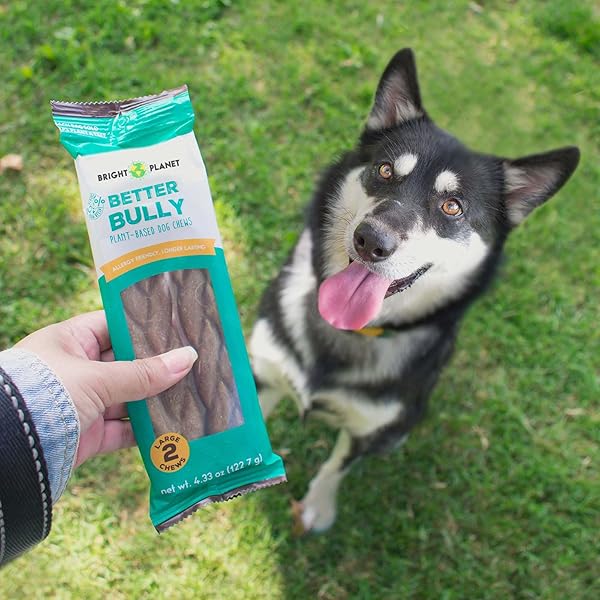 BRIGHT PLANET PET | BETTER BULLY VEGAN DOG CHEWS 2CT LARGE | LONG LASTING CHEW | HYPOALLERGENIC ALLERGY- FRIENDLY PLANT-BASED | MADE IN USA