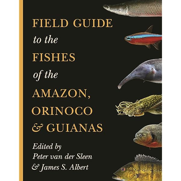 アート・デザイン・音楽 FISHES of the ORINOCO in the WILD Fishes of