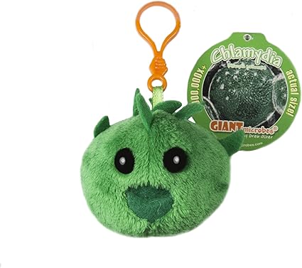 giant microbes chlamydia