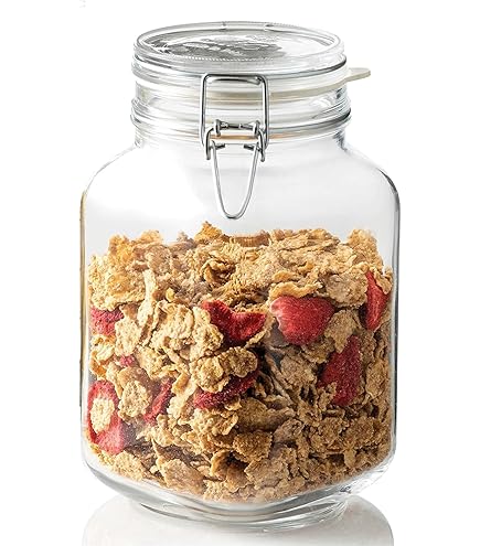 Amazon.com: Bormioli Rocco SYNCHKG017035 Fido Glass Canning Jar