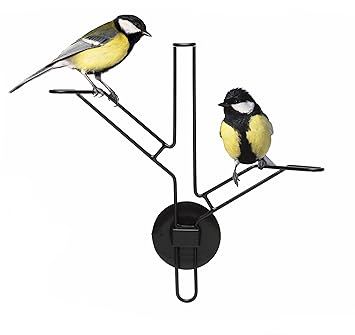 Born In Sweden 3 Piece Bird Feeder And Accessory Kit Amazon Co Uk