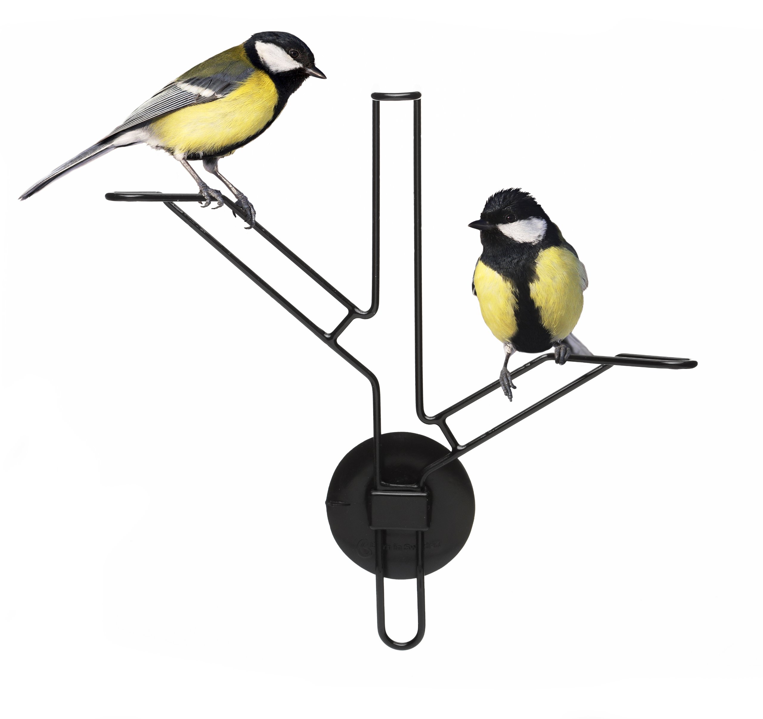Born In Sweden 3 piece Bird Feeder and accessory kit