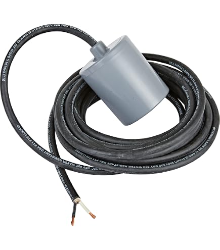 Pumpmaster 20FT Float Switch – SJE-Rhombus Pump Up Switch With Plug (120V, 20PMU1WP)