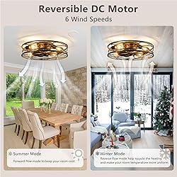 Flush Mount Caged Ceiling Fan: 20" Caged Ceiling