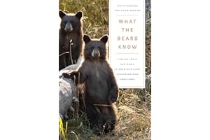 What the Bears Know: How I Found Truth and Magic in America's Most Misunderstood Creatures―A Memoir by Animal Planet's "The Bear Whisperer"