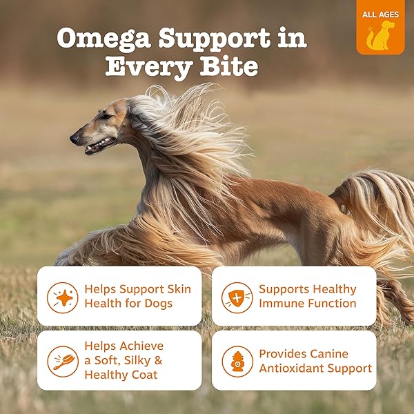 ZESTY PAWS OMEGA 3 ALASKAN FISH OIL CHEW TREATS FOR DOGS – WITH ALASKOMEGA FOR EPA & DHA FATTY ACIDS – HIP & JOINT SUPPORT + SKIN & COAT CHICKEN FLAVOR (90 SOFT CHEWS)