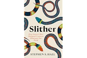 Slither: How Nature's Most Maligned Creatures Illuminate Our World