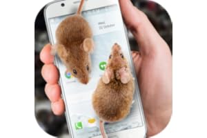 Mouse on Screen Scary Joke