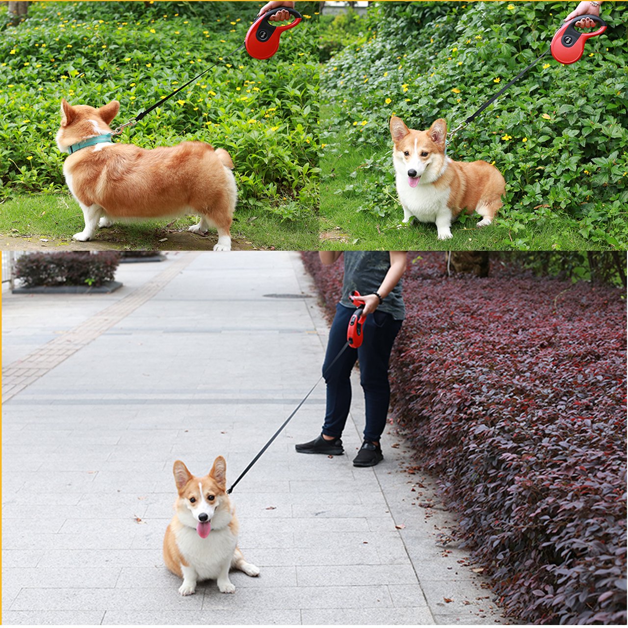 COODIA Retractable Dog Leash Dog Heavy Duty Automatic Lead Rope Walking Leash for Medium Large Pet Dogs up to 85lbs Tangle Free,16Ft,One Button Break & Lock