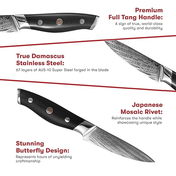 MASTER MAISON 3.5″ DAMASCUS STEEL PARING KNIFE WITH FULL-TANG HANDLE, SHEATH & STORAGE BOX – JAPANESE CHEF KNIFE, DAMASCUS CHEF KNIFE, HAND FORGE JAPANESE DAMASCUS CHEF KNIFE – BLACK WITH MOSAIC RIVET