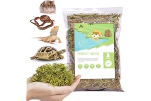 JONS NTY JONSΛNTY 4L Natural Moss Bedding, Small Animal Bedding for Hamster, Reptile, Tortoise, Frogs, Snakes, Hermit Crabs, Burrowing Animals, Clean, Cozy, Odor Control, Absorbent, for Cage, Terrarium, Forest