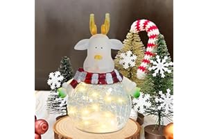 QUELIEN Christmas Deer Globes Light, Battery-Operated Lighted Christmas Snow Globes for Christmas Festival Decoration Gifts, for Women, Friends, Baby Girls, Sisters, Granddaughter, Mom