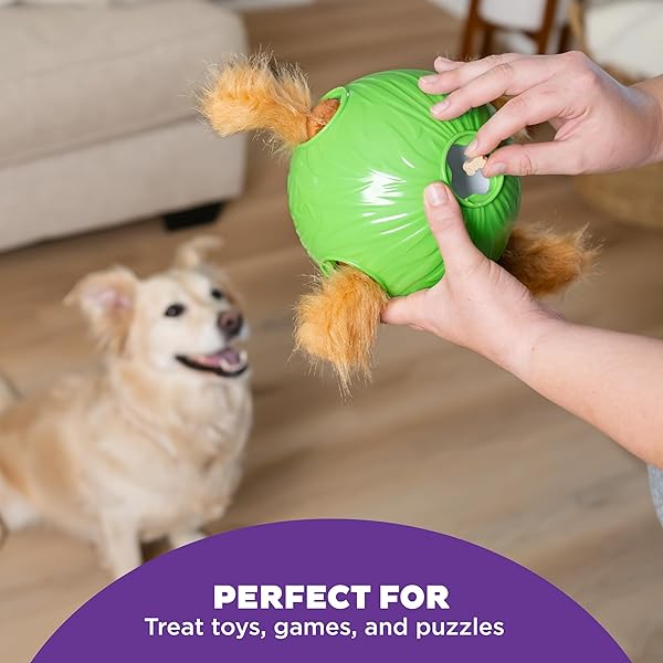 OUTWARD HOUND NINA OTTOSSON PUZZLE BITEZ TRAINING TREATS FOR DOGS PEANUT BUTTER FLAVOR SOFT SMALL DOG TREATS DOG TRAINING TREATS
