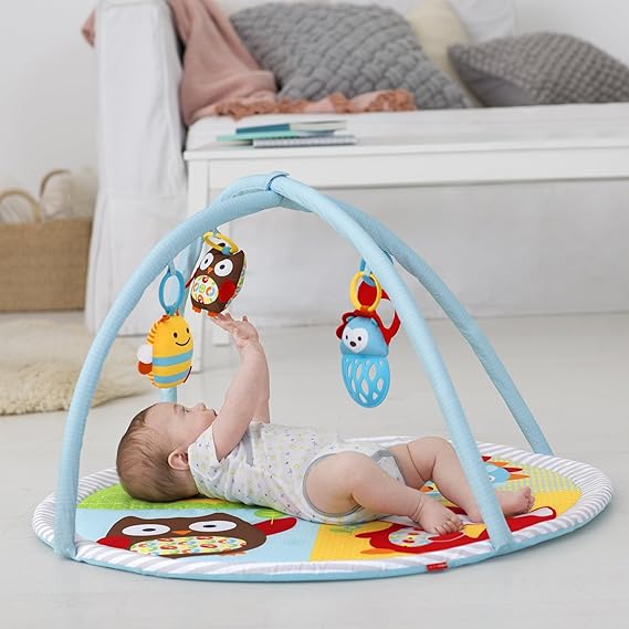 skip hop explore and more mat