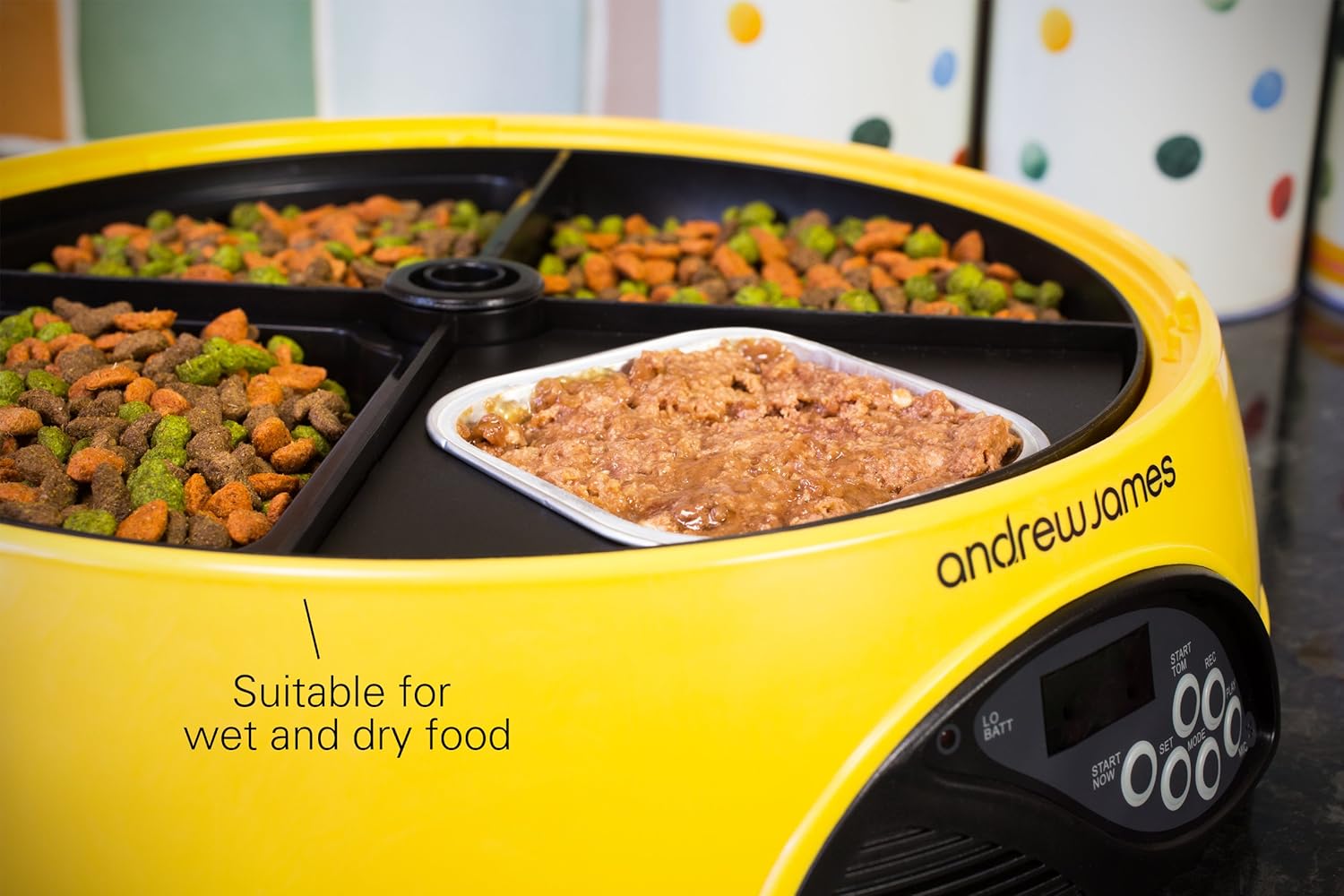 andrew james 4 day pet feeder