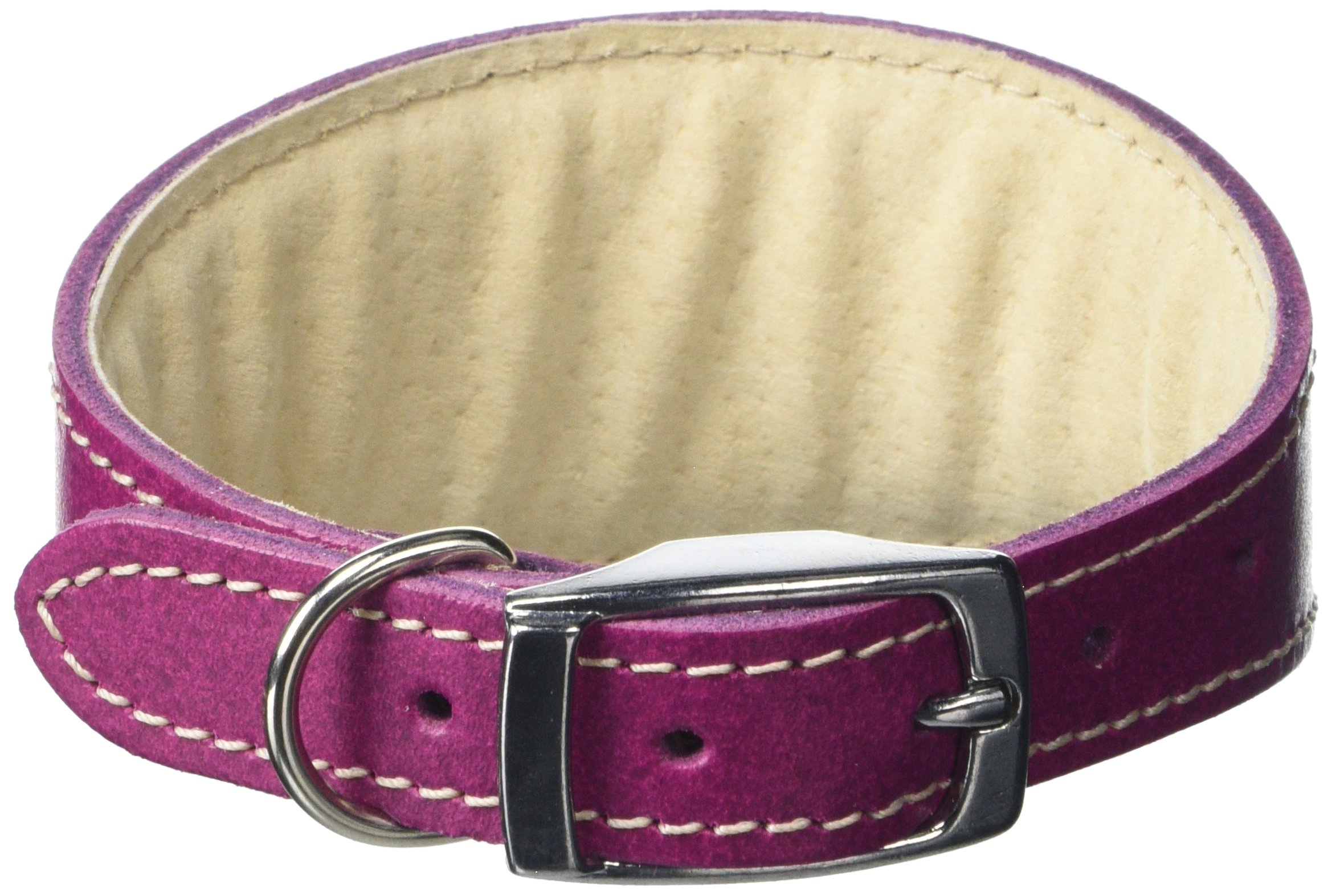 BBD Pet Products Whippet Collar, One Size, 3/4 x 10 to 12-Inch, Boysenberry