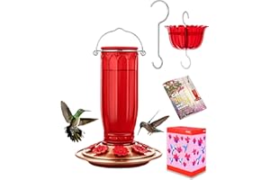 iBorn Glass Hummingbird Feeder for Outdoors Hanging Ant and Bee Proof Ant Moat for Hummingbird Feeder 8 Ports for 16oz Hummingbird Nectar,Brushed Copper Base Red Glass, Pack of 1, 2024 New