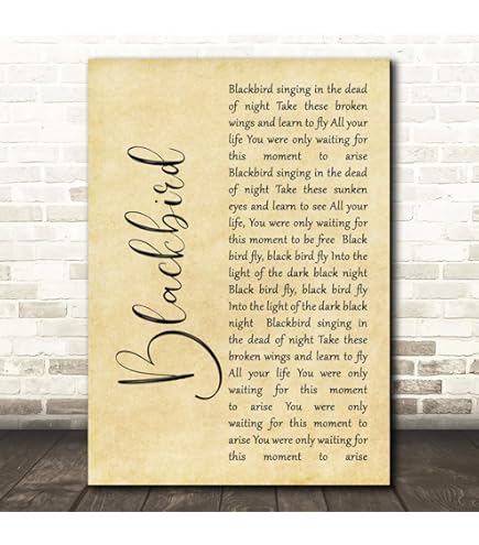 comings SONGBIRDS 7inch 歌詞カード付き tqStSvDoIyFuWYU0O_9KLZxHUpB_PH