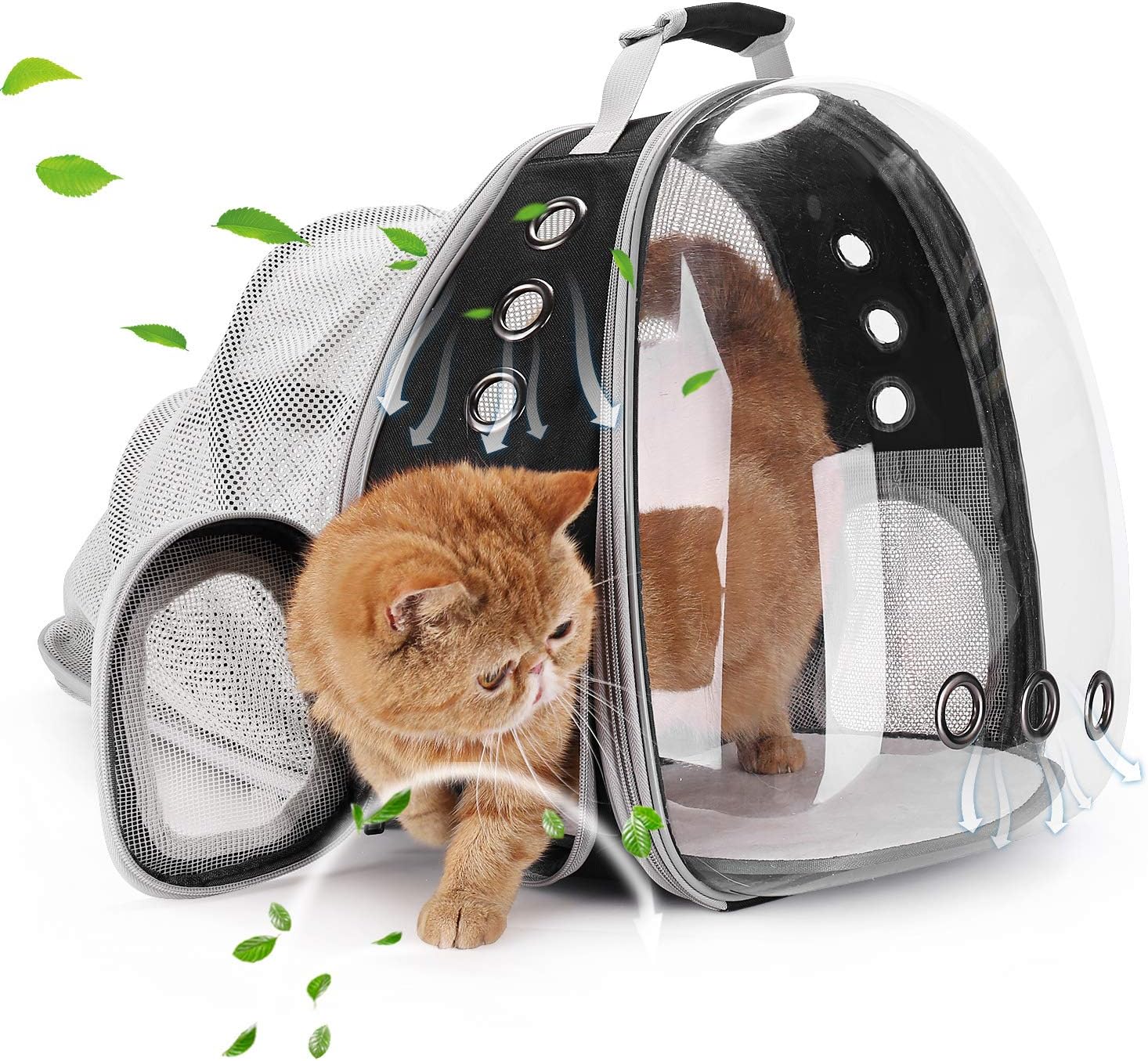 Lollimeow Pet Carrier Backpack, Bubble Backpack Carrier, Cats and Puppies, Airline-Approved, Designed for Travel, Hiking, Walking & Outdoor Use (Black-Expandable) : Pet Supplies