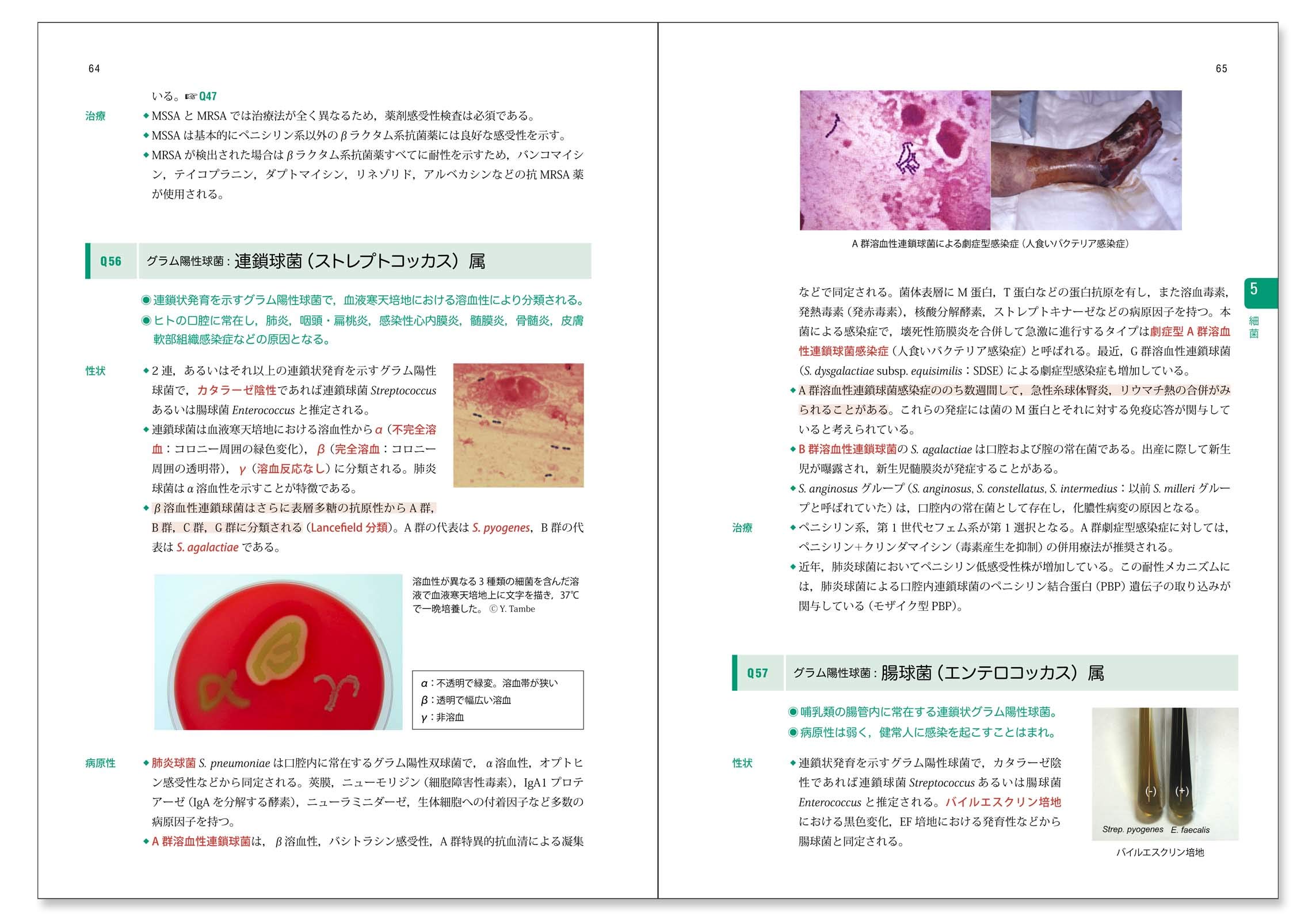 新微生物学 Qシリーズ 舘田 一博 松本 哲哉 岩田 敏 槇村 浩一 赤尾 信明 本 通販 Amazon