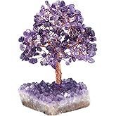 Jovivi Natural Amethyst Healing Crystal Money Tree on Amethyst Cluster Geode Druzy Base Feng Shui Crystals for Home Office Desk Decorations, Wealth, Good Luck
