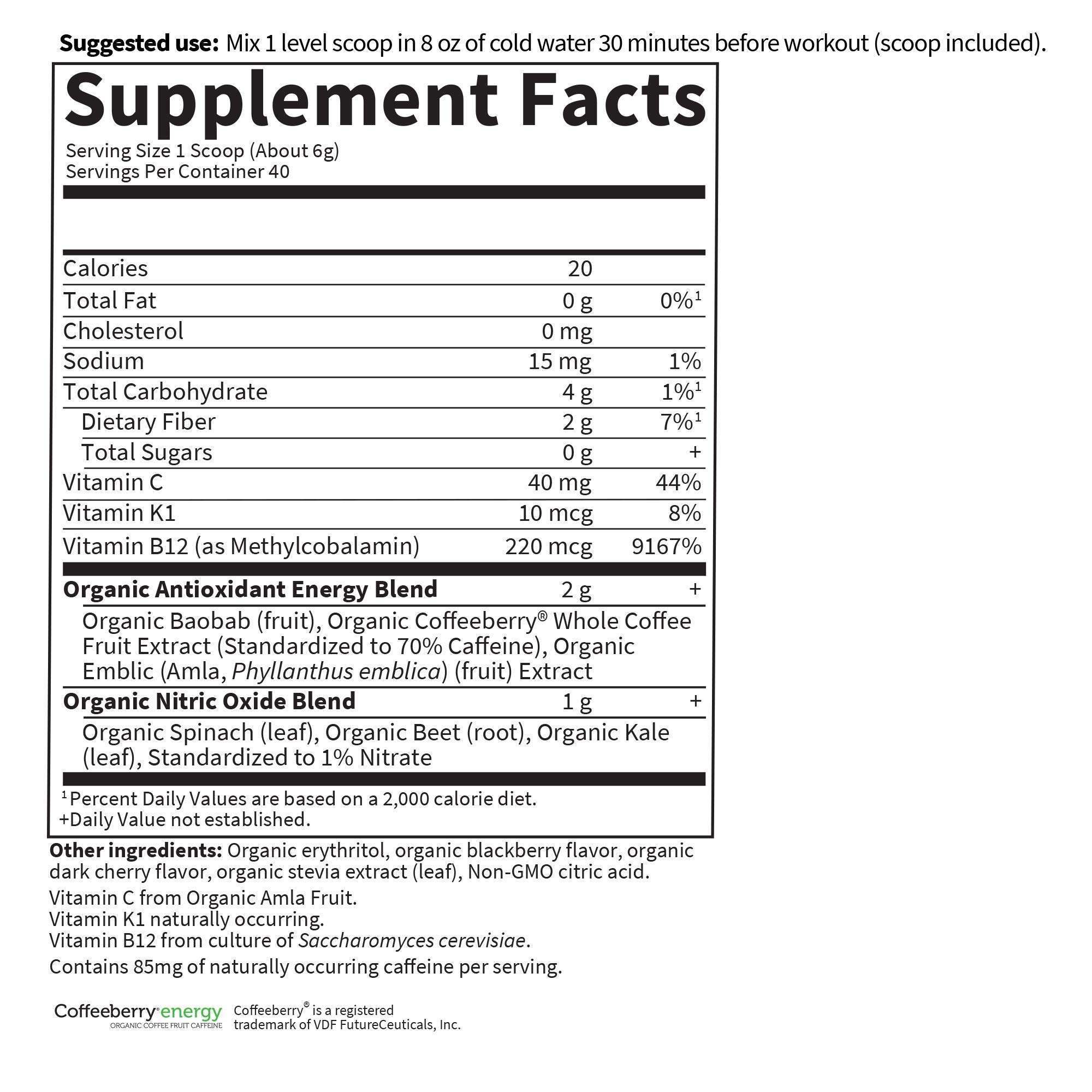 Garden of Life Sport Organic Plant-Based Energy + Focus Vegan Clean Pre Workout Powder, Sugar & Gluten Free BlackBerry Cherry with 85mg Caffeine, Natural NO Booster, B12, 40 Servings, 8.14 Oz