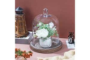 Generic Large Handmade Sturdy Glass Cloche With Brown Beaded Wooden BaseIn Farmhouse Style, For Terrarium, Trinkets, Cakes, F