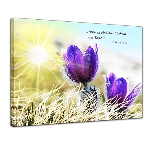Leinwandbild Mit Zitat Blumen Sind Das Lächeln Der Erde R W